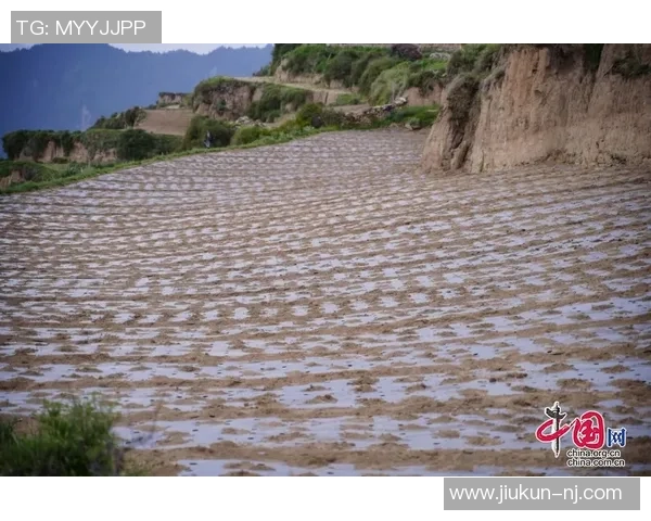 足球明星余伟亮的传奇之路与辉煌成就解析